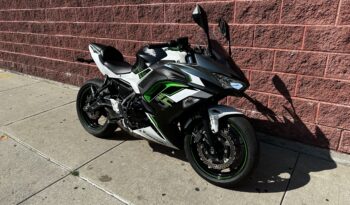 
									2022 Kawasaki Ninja 650 full								