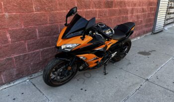 
									2019 Kawasaki Ninja 650 full								