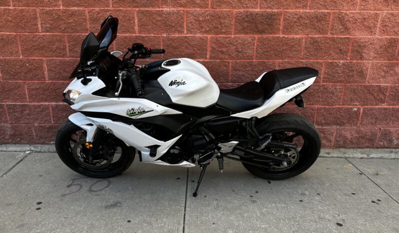 
								2017 Kawasaki Ninja 650 full									