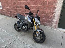 
										2021 Kawasaki BRZ125 full									