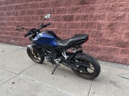 
										2020 Honda CB300F Blue full									